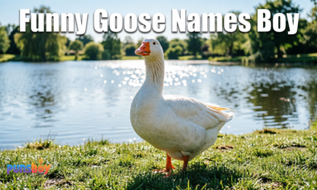 Funny Goose Names Boy